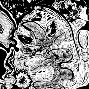 Leaves - Print