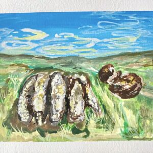 Wales rock - Print